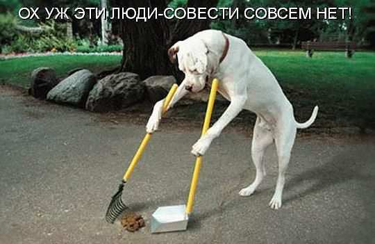   (getImageCATM5P4E.jpg, 25221 , : 212 )