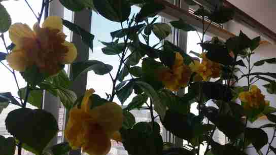   (20150711_125705.jpg, 58140 , : 241 )