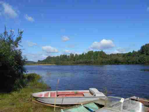   (DSCN0444.JPG, 234294 , : 216 )