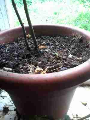   (IMG_20150823_092500.jpg, 314597 , : 569 )