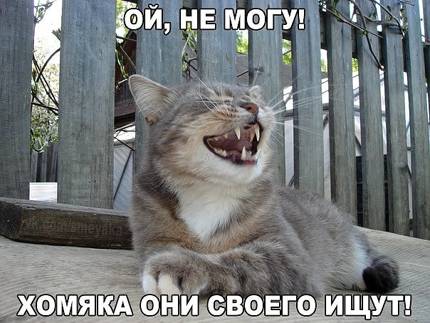   (image.jpg, 89642 , : 198 )