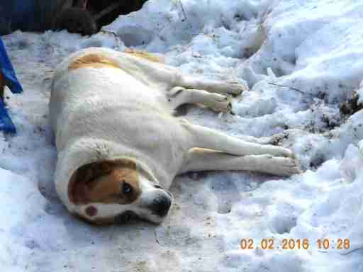   (DSCN1371.JPG, 313853 , : 251 )