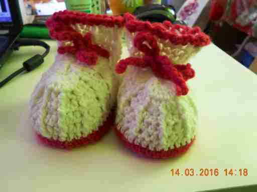   (DSCN1517.JPG, 220512 , : 231 )