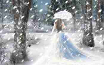   (110564892_68503721_Lost_in_winte, 101354 , : 450 )