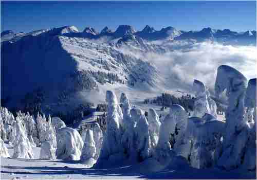   (very_beautiful_winter_photos_20., 396275 , : 316 )