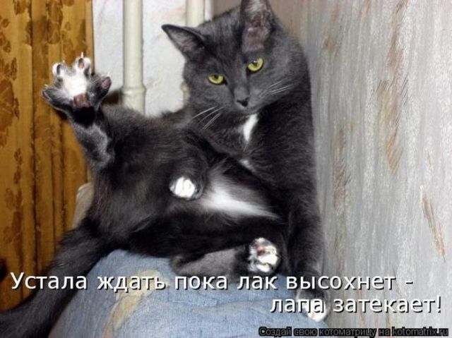   (s3img_13786085_405_1.jpg, 55922 , : 194 )
