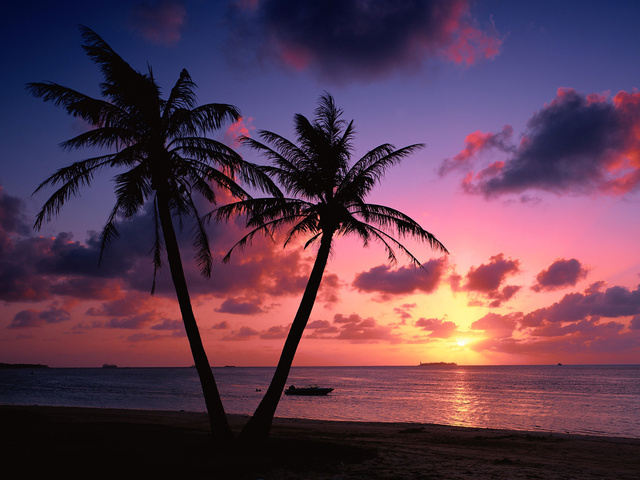   (anywalls.com-805.jpg, 137479 , : 206 )