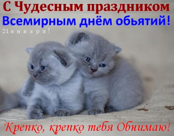   (pbLQa6JDByk.jpg, 57449 , : 206 )