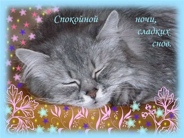   (bdc5822c54af.jpg, 96142 , : 216 )