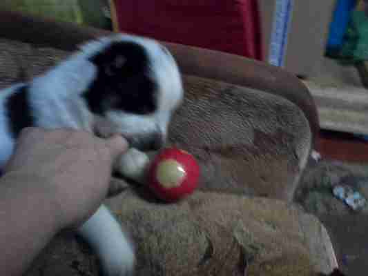   (IMG_20150124_122204.jpg, 25439 , : 602 )