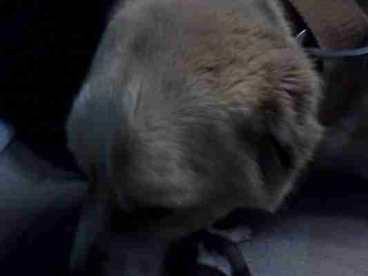   (IMG_20141225_213403.jpg, 17047 , : 580 )