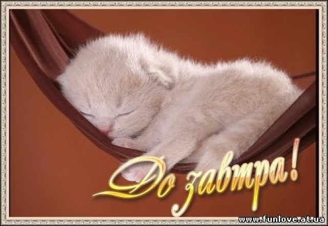   (70tWdezrOx.jpg, 85112 , : 208 )