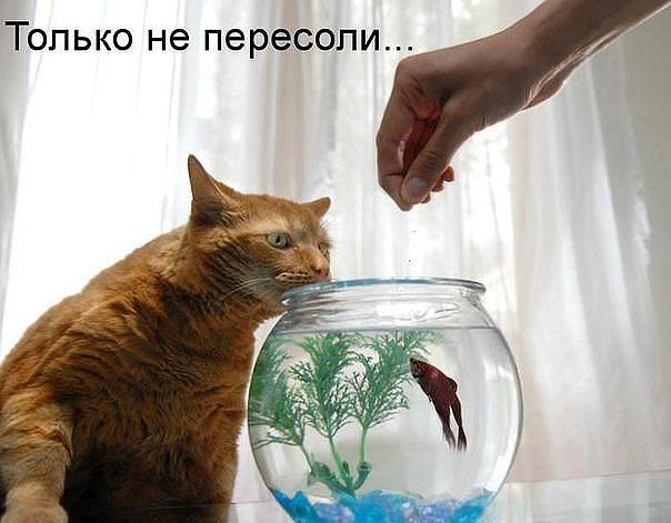   (getImage (14).jpg, 46354 , : 191 )