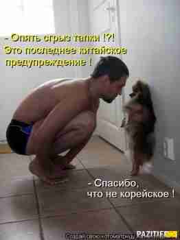   (1344080116_kotomatrix_09.jpg, 60033 , : 237 )