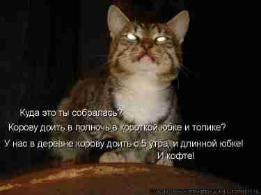   (866811.jpg, 51123 , : 181 )