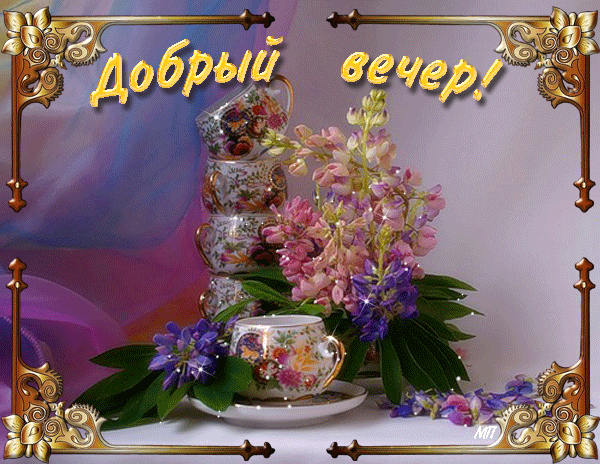   (M8IGmLxzEE.gif, 338194 , : 207 )