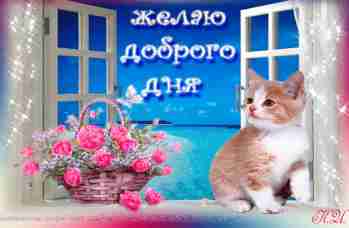   (7368907.gif, 513821 , : 215 )